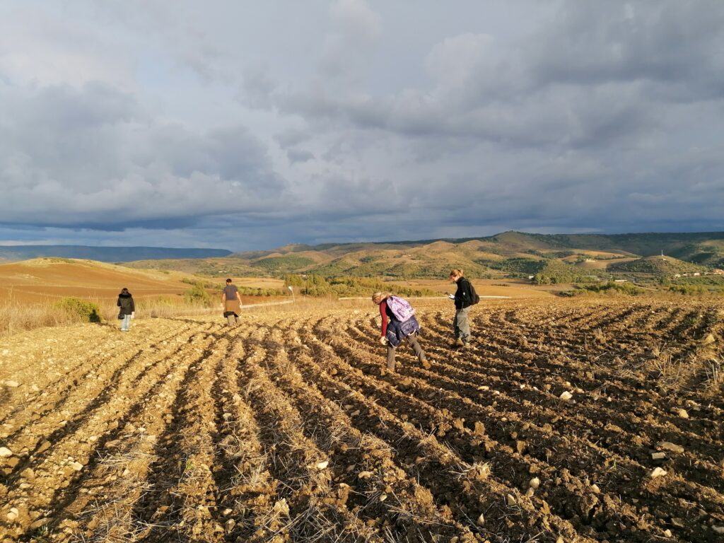 A colour photograph of fields with people looking at the ground.