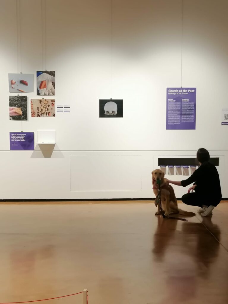 A photograph of an exhibition display with a person looking holding onto a dog.